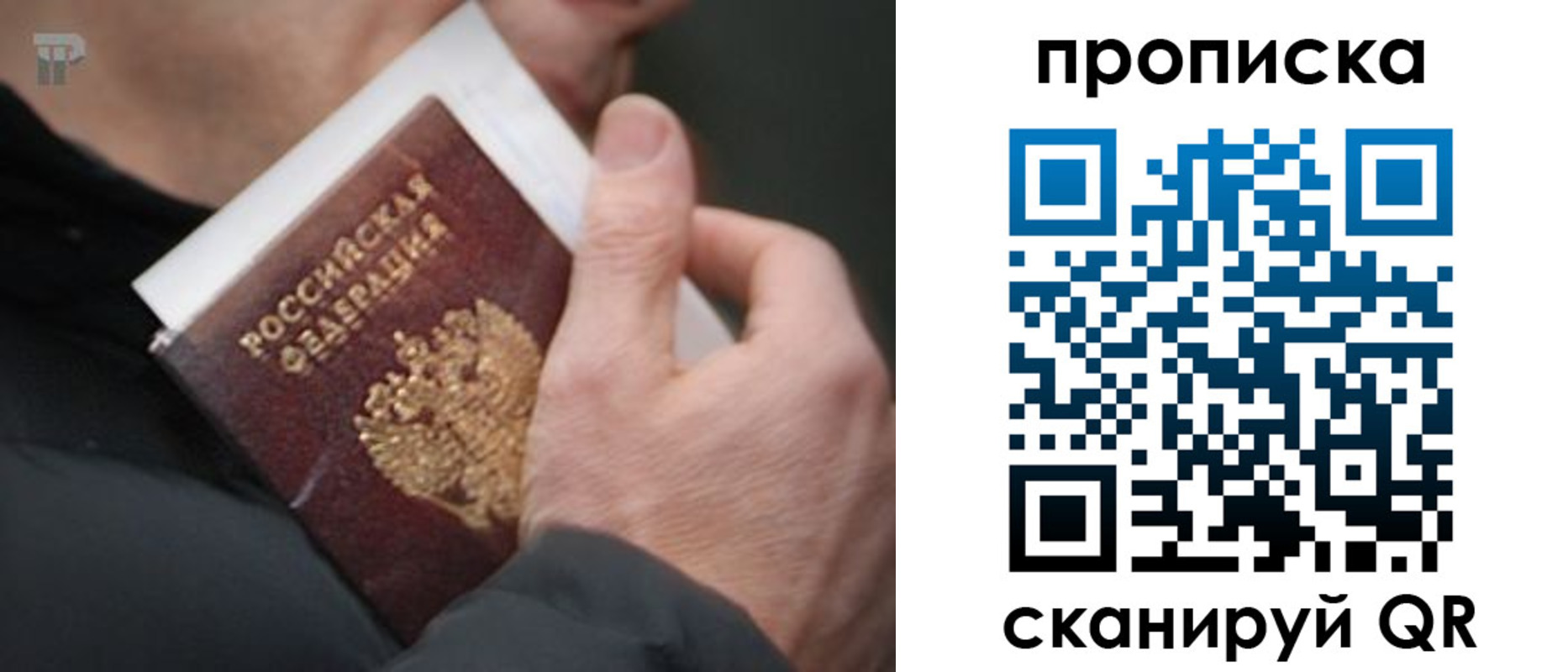 временная регистрация гарантия в Шумихе